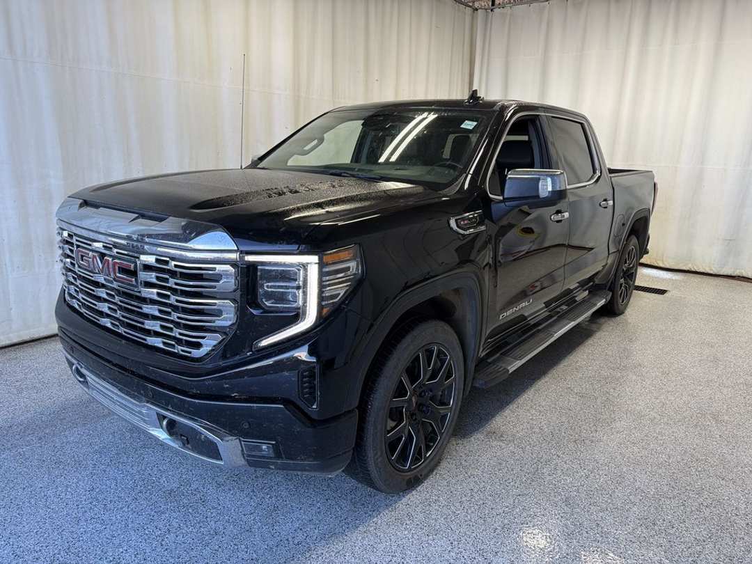2024 GMC Sierra 1500 Denali - Image 2