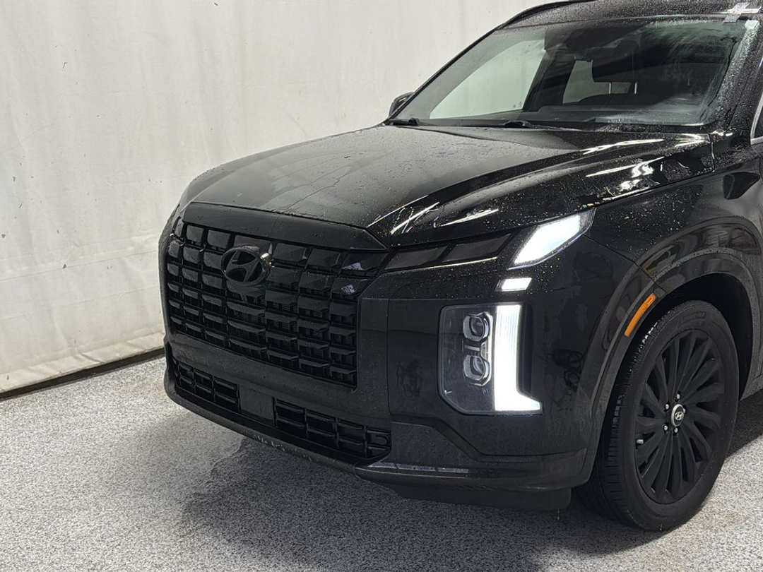 2025 Hyundai Palisade Ultimate Calligraphy Night - Image 3