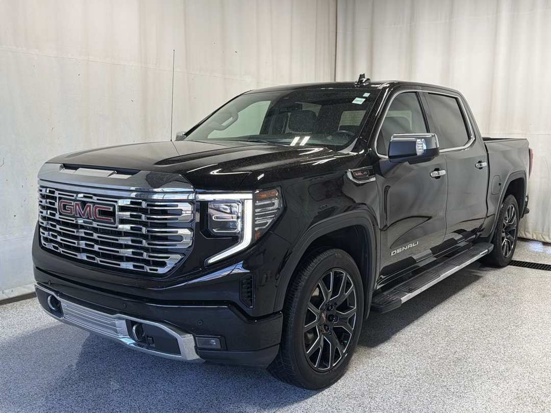 2024 GMC Sierra 1500 Denali - Image 2