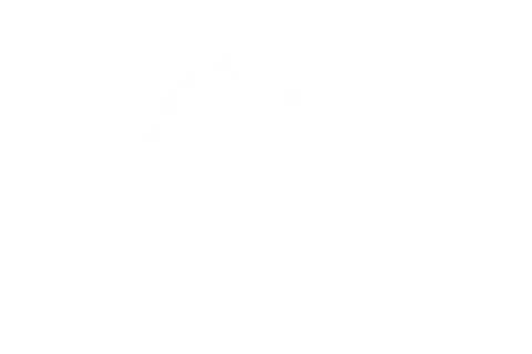 Volkswagen image