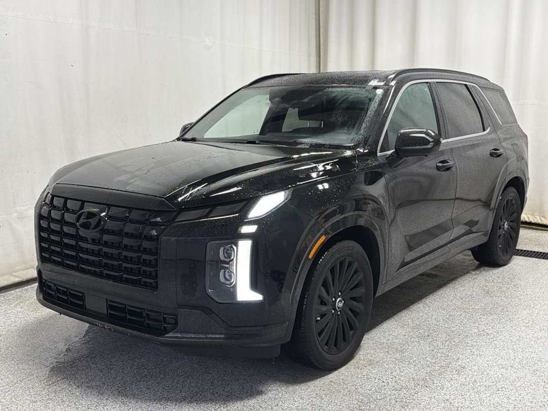 2025 Hyundai Palisade Ultimate Calligraphy Night - Image 2