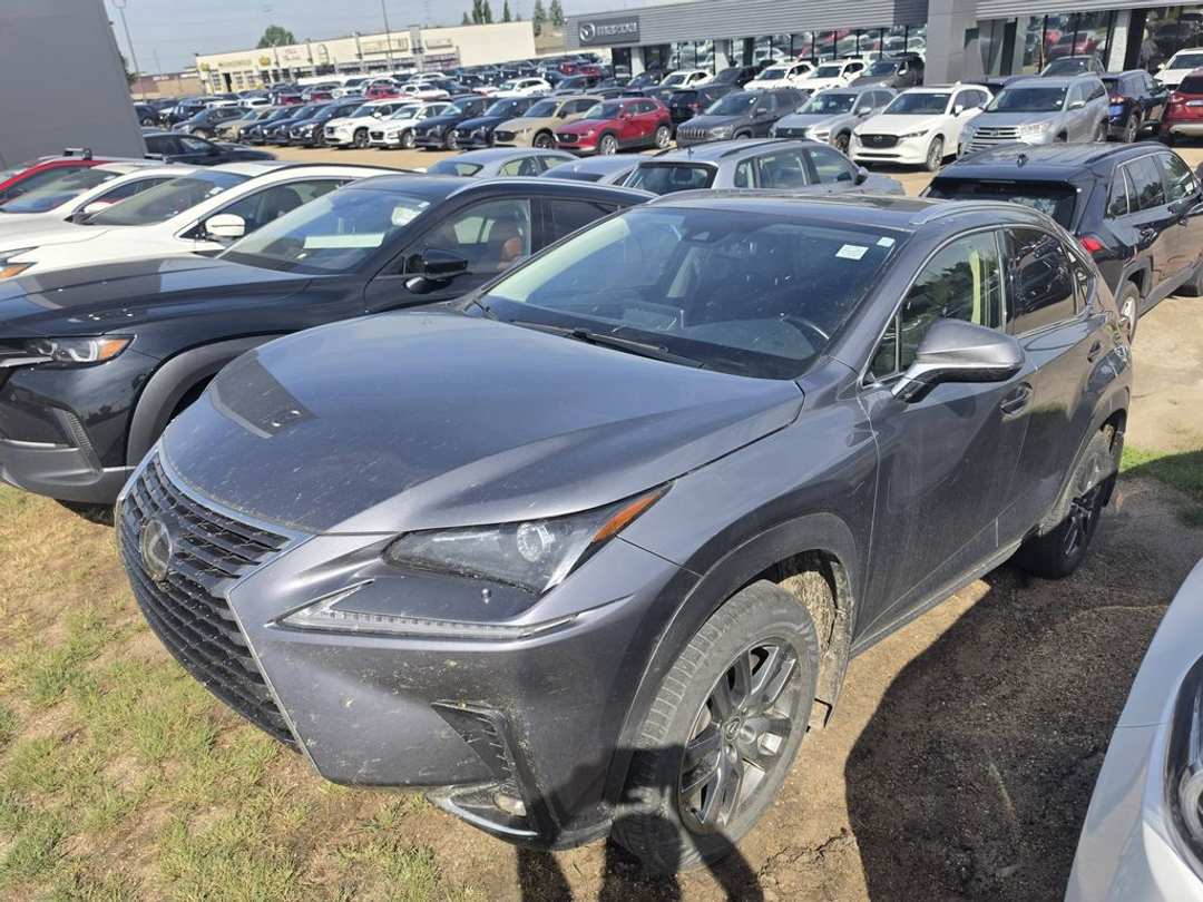 2021 Lexus NX 300 - Image 2