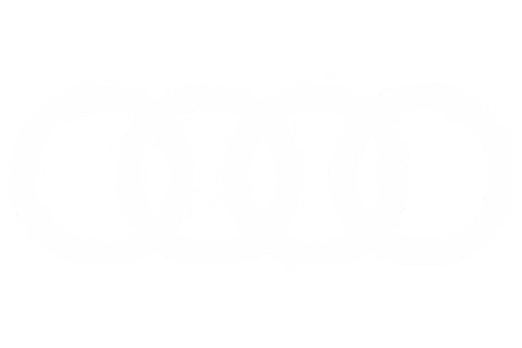 Audi image
