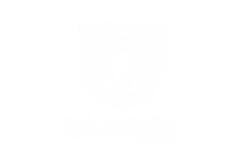 Ram image