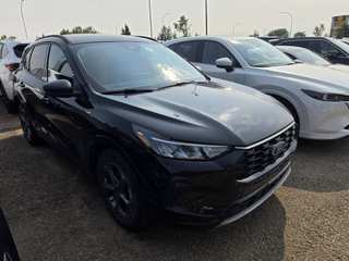 2024 Ford Escape STLine
